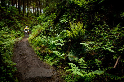 Světový pohár XC #2 Dalby Forest