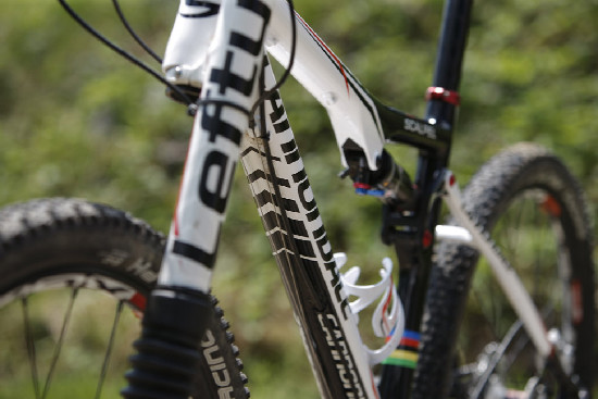 nejlevnější Scalpel 2011