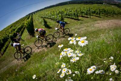 Mistrovství světa v MTB maratonu 2011