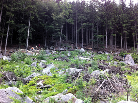 Rychleby pohodička 2011