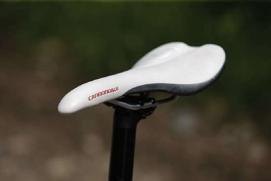 nejlevnější Scalpel 2011