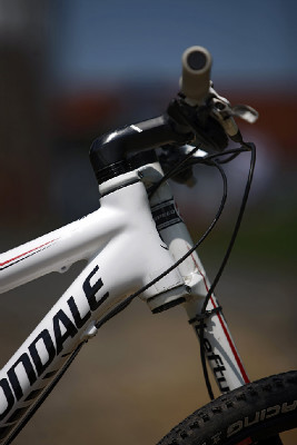 nejlevnější Scalpel 2011