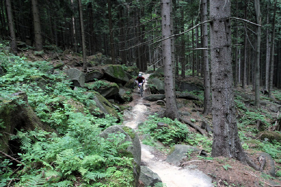 Rychleby pohodička 2011