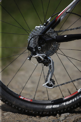 nejlevnější Scalpel 2011