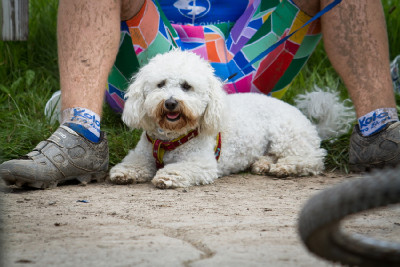 Pes nejvěrnějším přitelem bikera