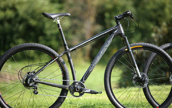 Santa Cruz dvojčata