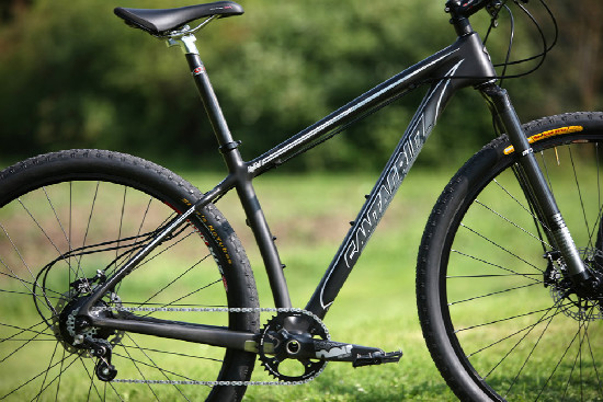 Santa Cruz dvojčata