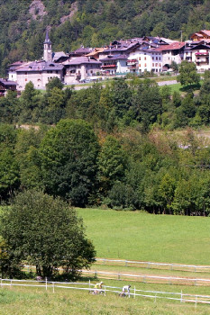 Světový pohár XC #7 Val di Sole - Elite