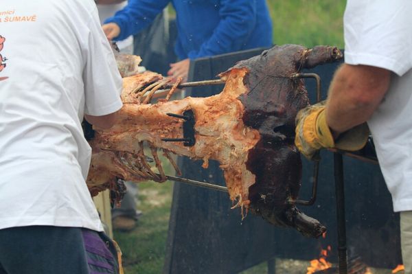 Finále Jihočesko-bavorského poháru 2011 obrazem
