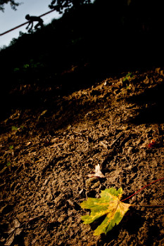 Toi Toi Cup #2 2011 - Mnichovo Hradiště