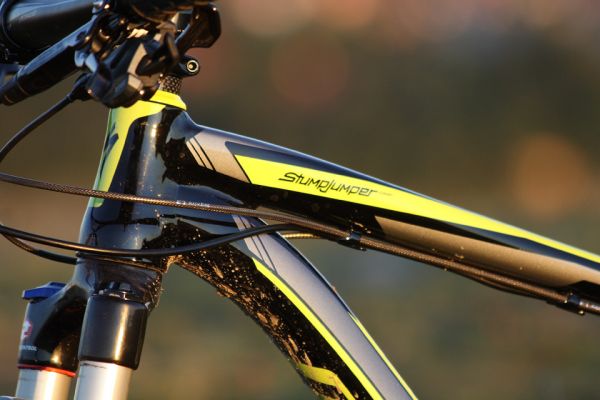 Specialized Stumpjumper Comp 29er 2012: TEST Fotogalerie