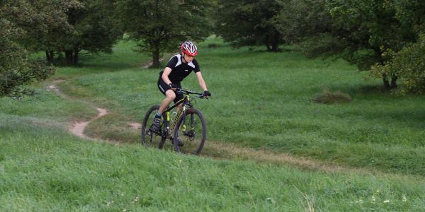 Specialized Stumpjumper Comp 29er 2012: TEST Fotogalerie