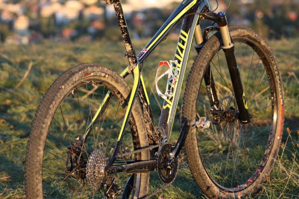 Specialized Stumpjumper Comp 29er 2012: TEST Fotogalerie