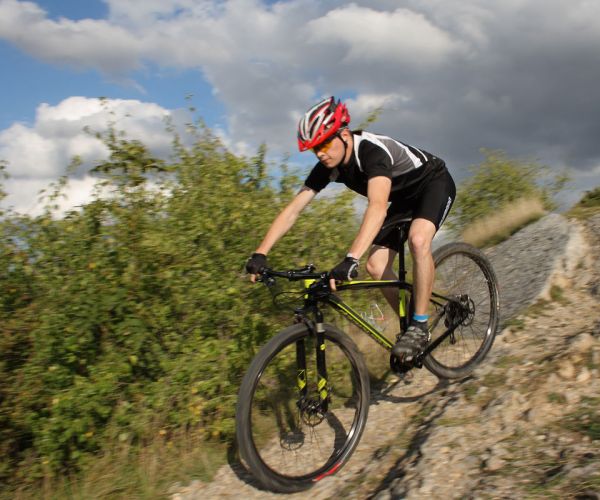 Specialized Stumpjumper Comp 29er 2012: TEST Fotogalerie