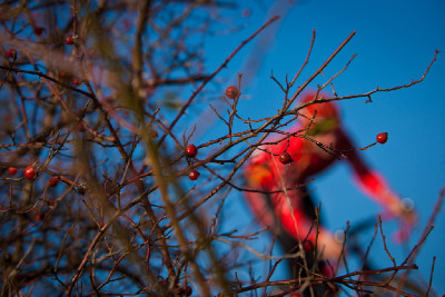 Pražský cyklokros 2011