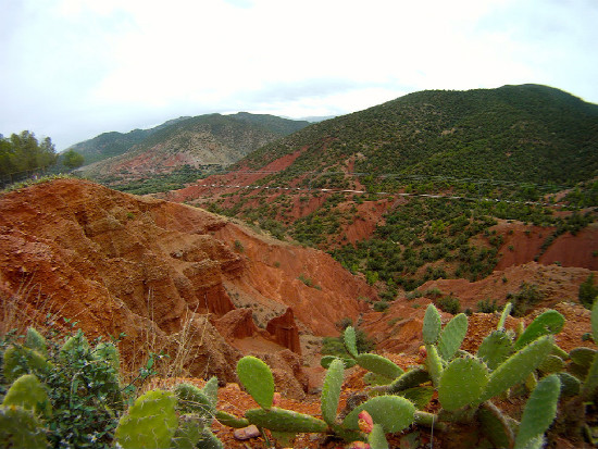 Simpleride Maroko 2011