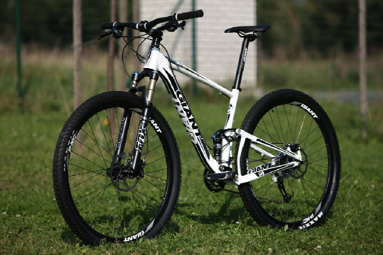 Anthem X 29ER 1