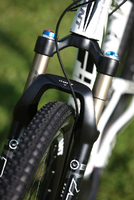 Anthem X 29ER 1