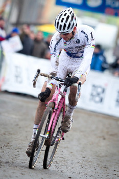 vítězné poplácání růžového oře