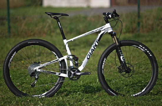 Anthem X 29ER 1