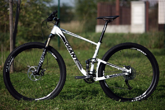 Anthem X 29ER 1