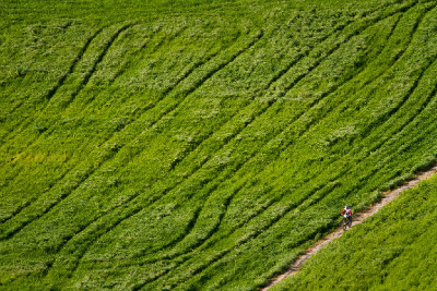 Sunshine Cup 2012 #1 - Vorokliny