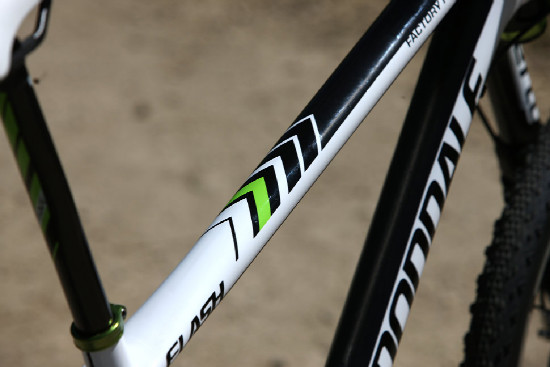 Cannondale Flash Team
