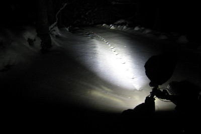 noční trénink na Šumavě