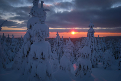 závod Šediváčkův long v Orlických horách