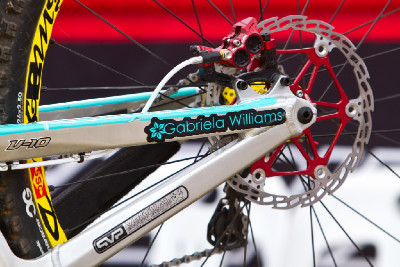 Santa Cruz Gabriely Williams