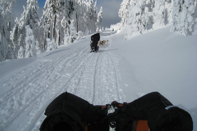 závod Šediváčkův long