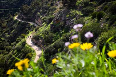 Sunshine Cup 2012 #1 - Vorokliny