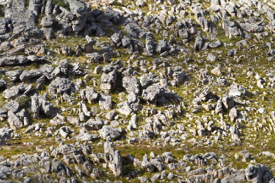 6.etapa - najdi Bulls