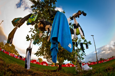 sušící strom v Oak Valley