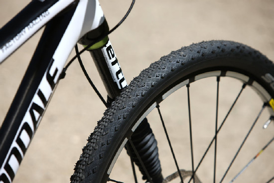 Cannondale Flash Team