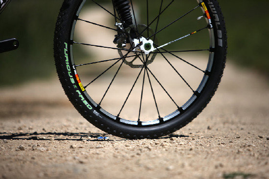 Cannondale Flash Team