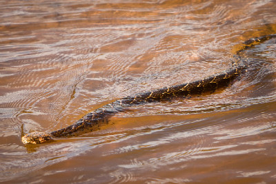 3.etapa - hadice v brodu...