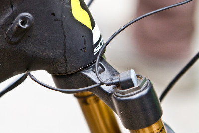 Lišák něco chystá...