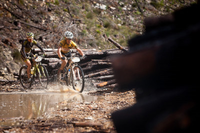 5.etapa - Burry Stander