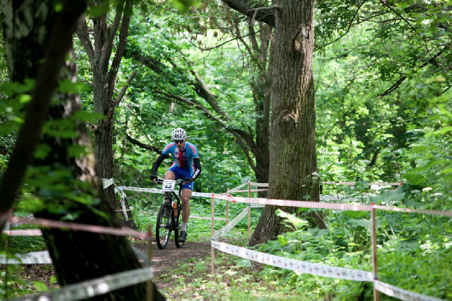 Martin Fusek v lesním úseku