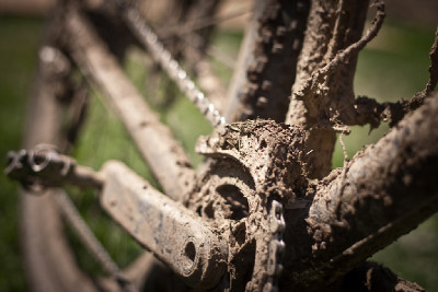 Author Šela Marathon - MČR v maratonu 2012
