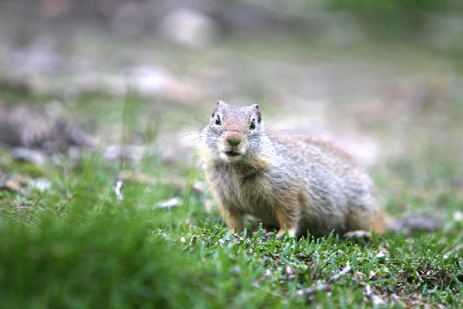 Specialized Press Launch 2013