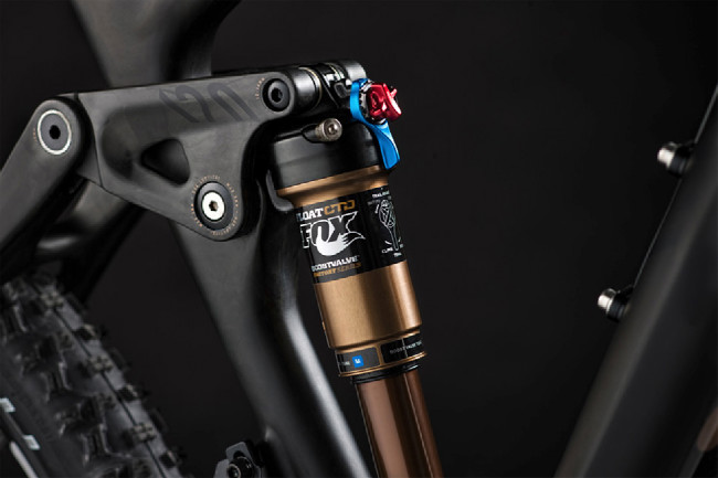 Canyon Nerve CF 2013