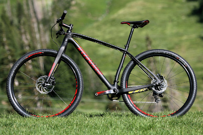 Specialized SJ EXP 29 EVO