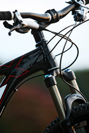 Giant TranceX 1 29er 2013