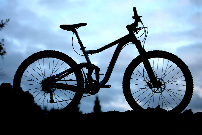 Giant TranceX 1 29er 2013