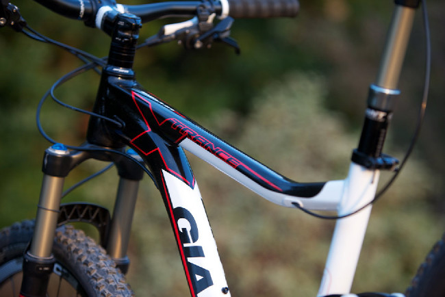 Giant TranceX 1 29er 2013