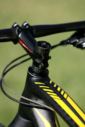 Specialized SJ EXP 29 EVO