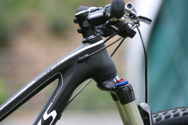 Fate S-Works Carbon 29