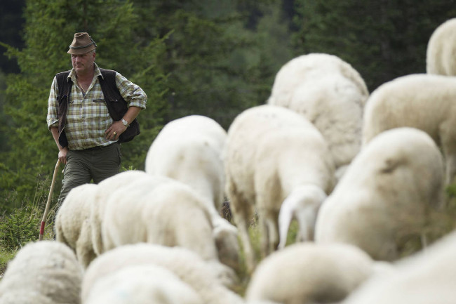 Dolimiti trip Cortina